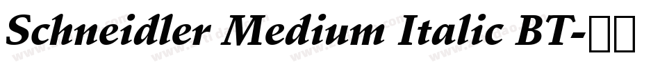 Schneidler Medium Italic BT字体转换